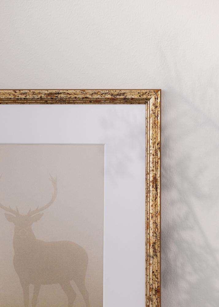 Kehys Claudia Akryylilasi Hopea 59,4x84,1 cm (A1)