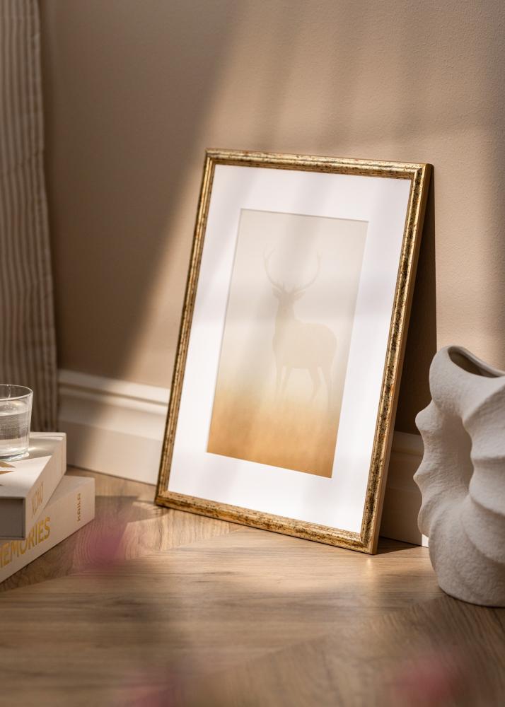 Kehys Claudia Akryylilasi Hopea 59,4x84,1 cm (A1)