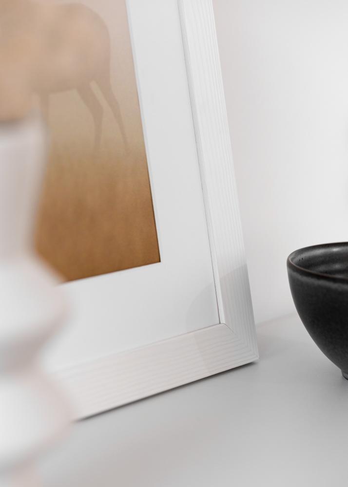 Kehys Sandra Akryylilasi Valkoinen 40x60 cm