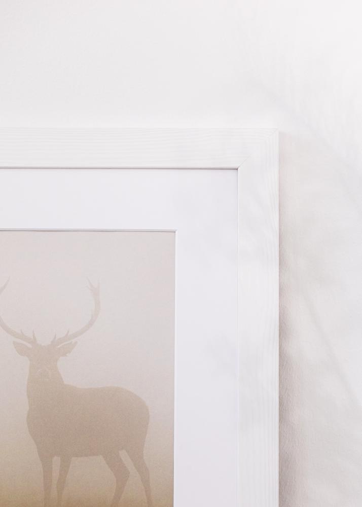 Kehys Sandra Akryylilasi Valkoinen 40x60 cm