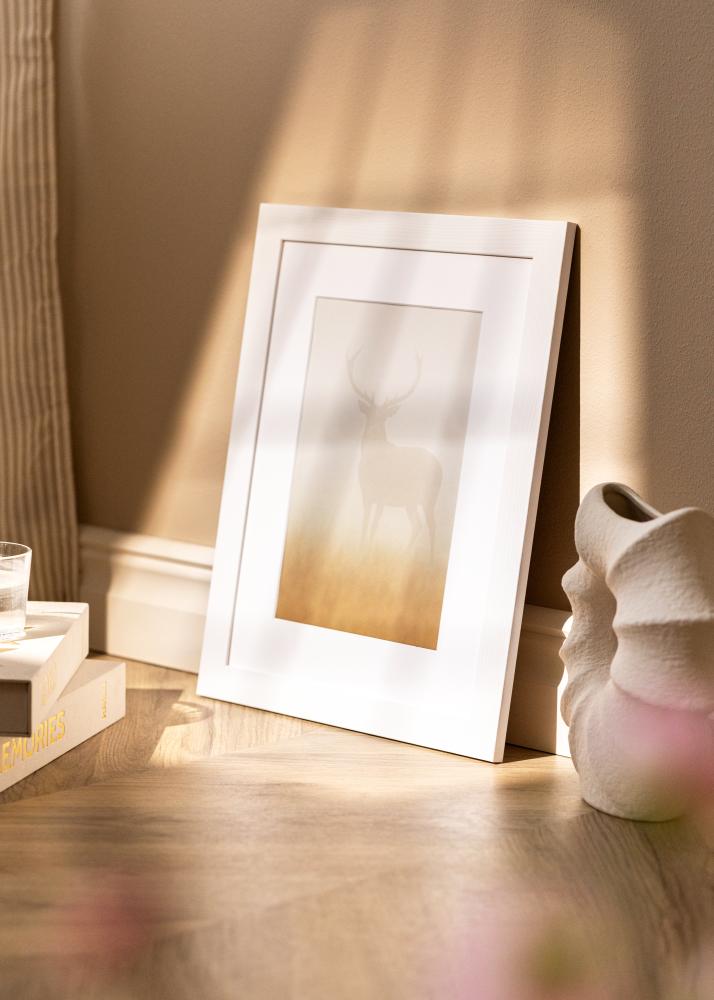 Kehys Sandra Akryylilasi Valkoinen 40x60 cm