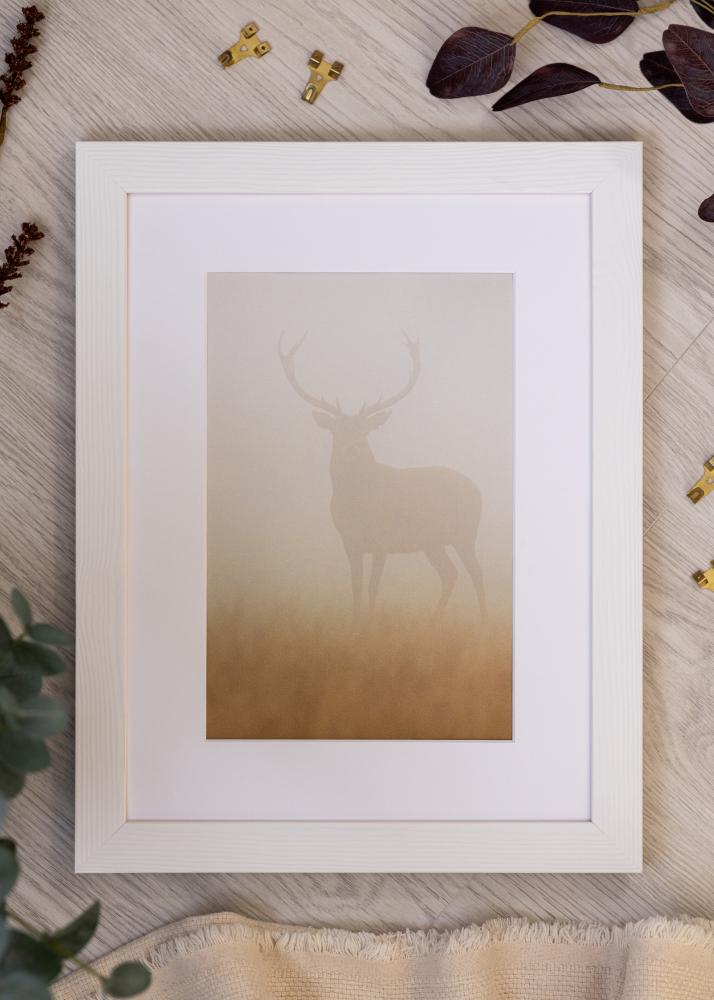 Kehys Sandra Akryylilasi Valkoinen 40x60 cm