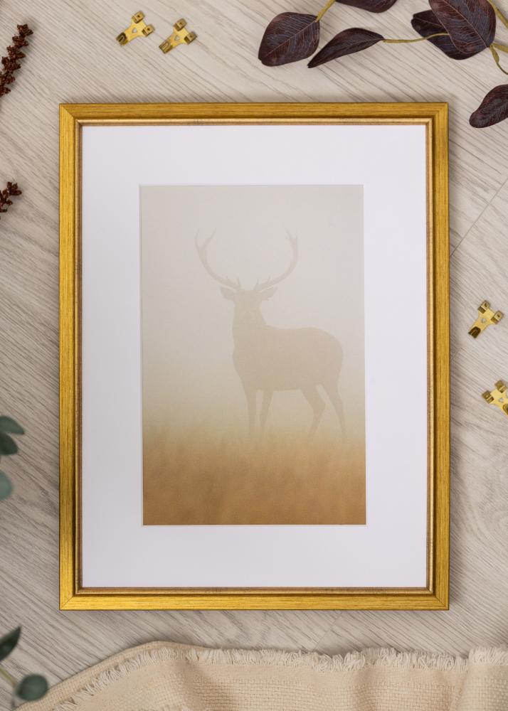 Kehys Marisa Akryylilasi Kulta 29,7x42 cm (A3)