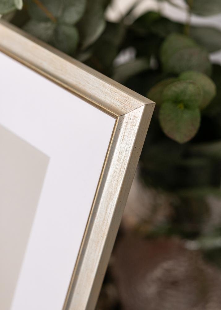 Kehys Marisa Akryylilasi Hopea 60x80 cm