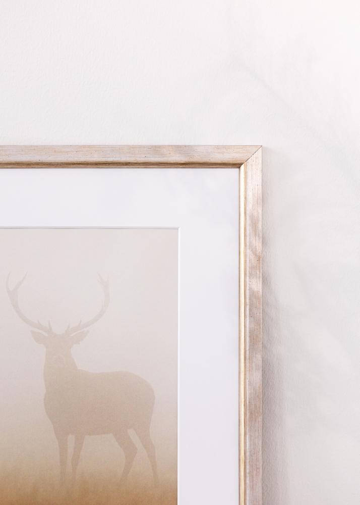 Kehys Marisa Akryylilasi Hopea 60x80 cm