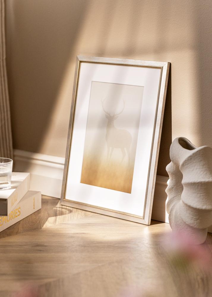 Kehys Marisa Akryylilasi Hopea 60x80 cm