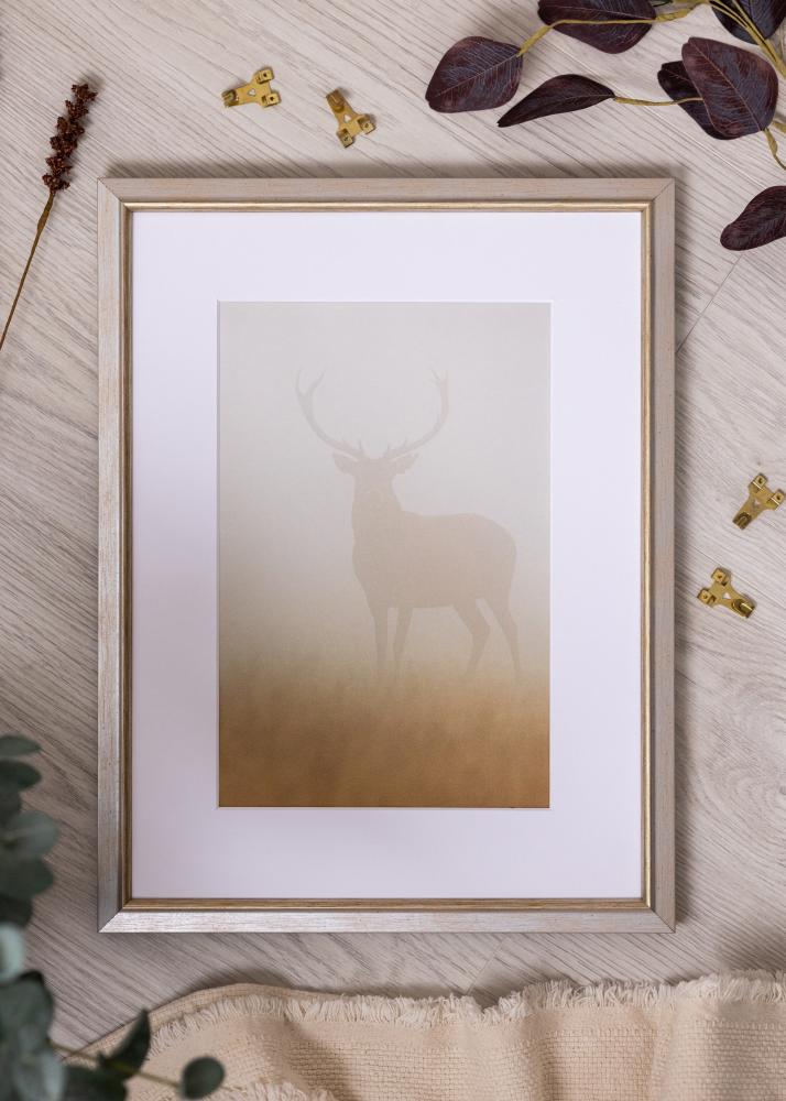 Kehys Marisa Akryylilasi Hopea 60x80 cm