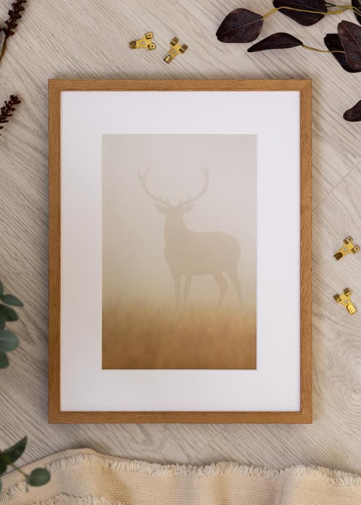 Kehys Tulipa Akryylilasi Tammi 29,7x42 cm (A3)