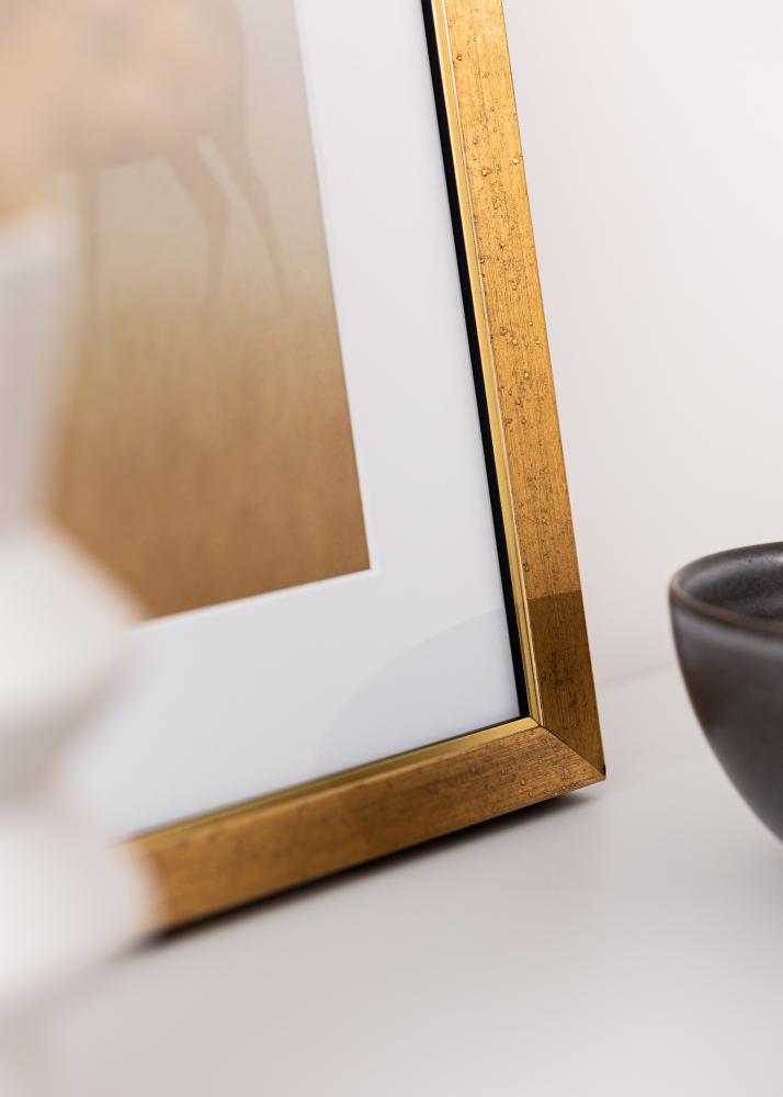 Kehys Brema Akryylilasi Kulta 40x60 cm