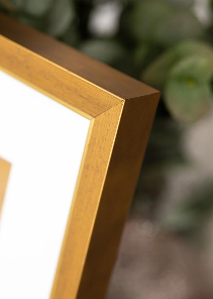Kehys Brema Akryylilasi Kulta 40x60 cm