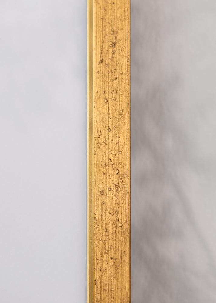 Kehys Brema Akryylilasi Kulta 40x60 cm