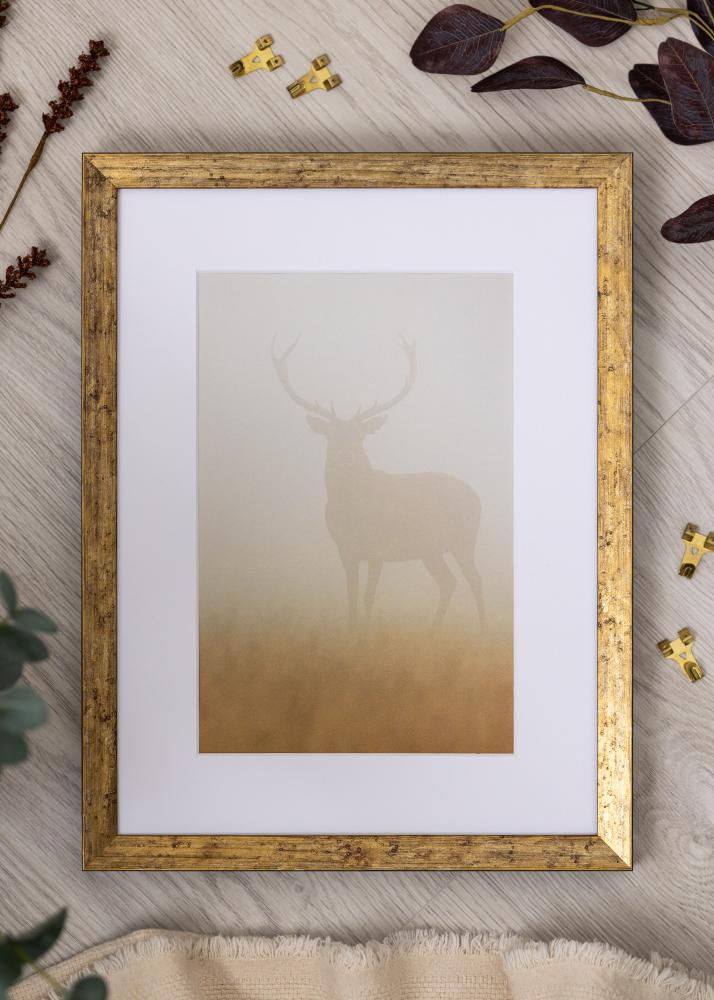 Kehys Dune Akryylilasi Kulta 40x50 cm