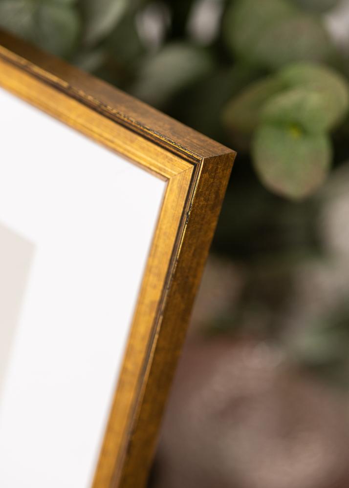 Kehys Ringa Akryylilasi Kulta 29,7x42 cm (A3)