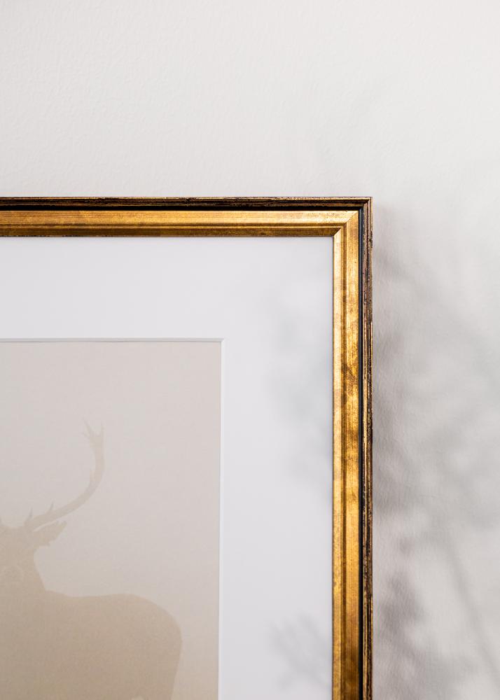 Kehys Ringa Akryylilasi Kulta 29,7x42 cm (A3)