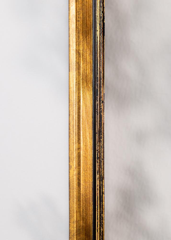 Kehys Ringa Akryylilasi Kulta 29,7x42 cm (A3)