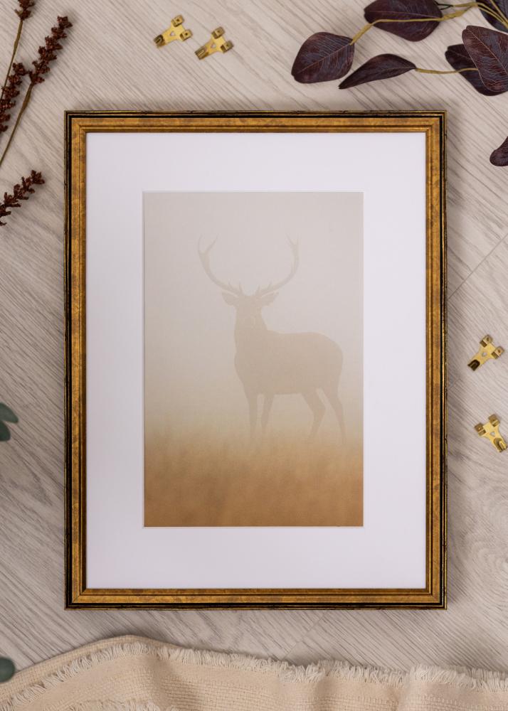 Kehys Ringa Akryylilasi Kulta 29,7x42 cm (A3)