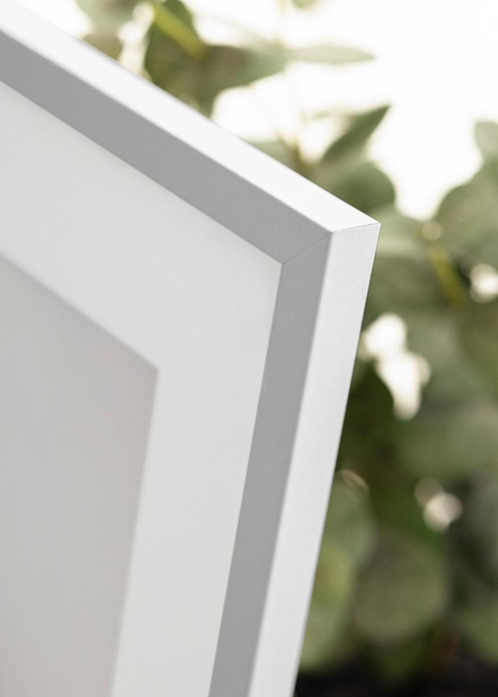 Kehys Trendy Akryylilasi Valkoinen 21x29,7 cm (A4)