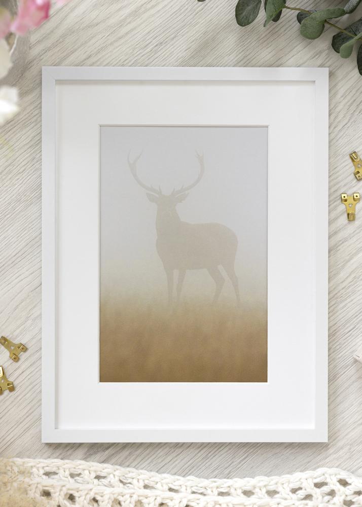 Kehys Trendy Akryylilasi Valkoinen 21x29,7 cm (A4)