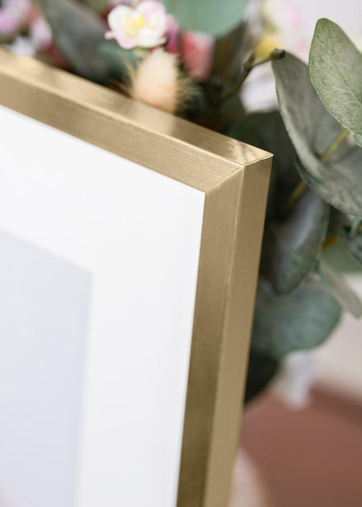 Kehys Trendy Akryylilasi Kullanvärinen 21x29,7 cm (A4)