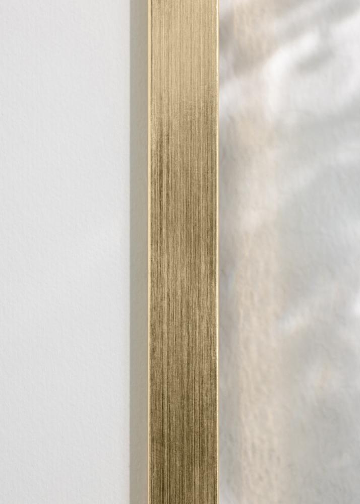 Kehys Trendy Akryylilasi Kullanvärinen 21x29,7 cm (A4)