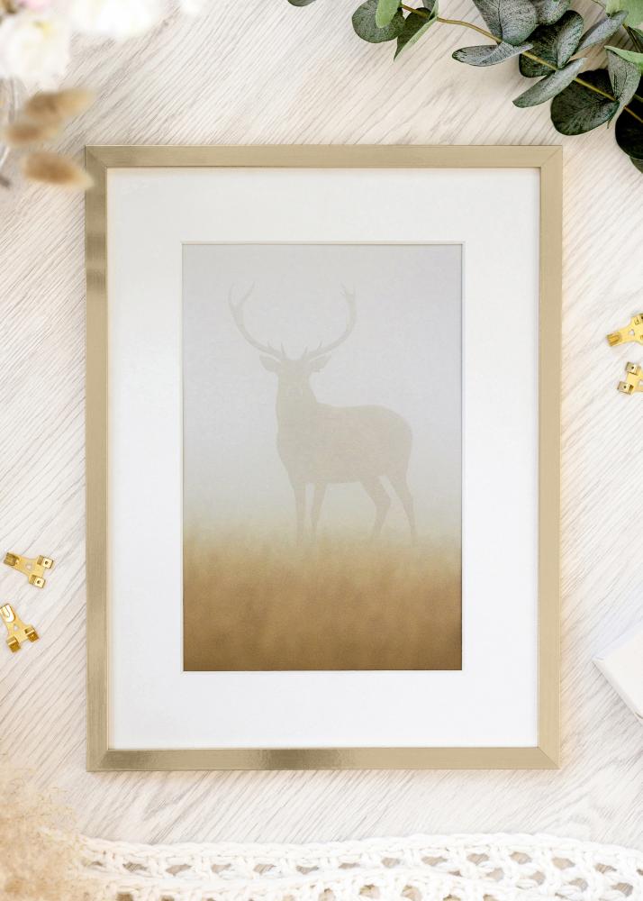 Kehys Trendy Akryylilasi Kullanvärinen 21x29,7 cm (A4)