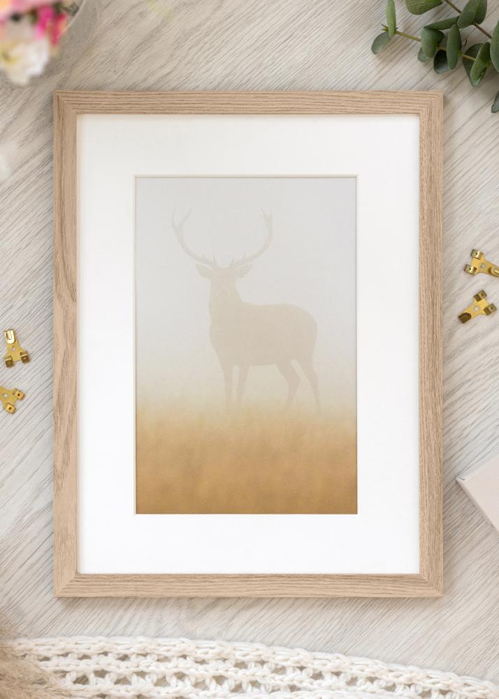 Kehys BGA Classic Akryylilasi Tammi 50x75 cm