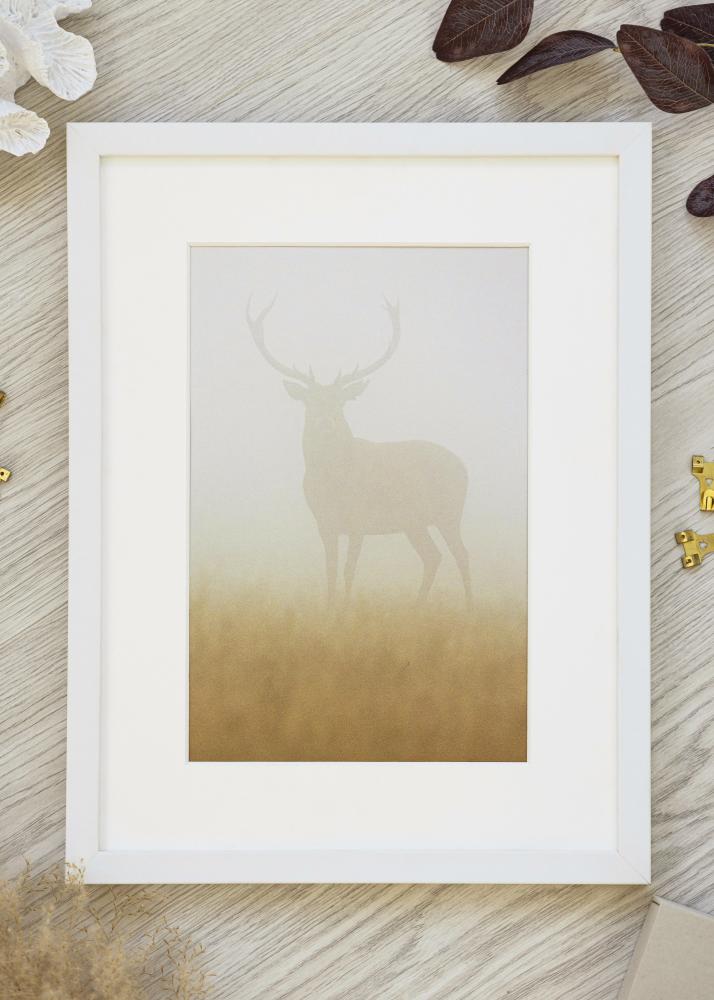 Taulunkehys Valkoinen Leveä 50 x 70 cm