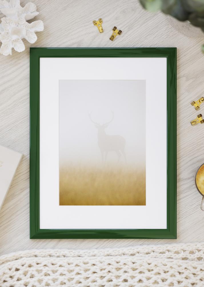 Kehys Dorset Akryylilasi Vihreä 21x29,7 cm (A4)