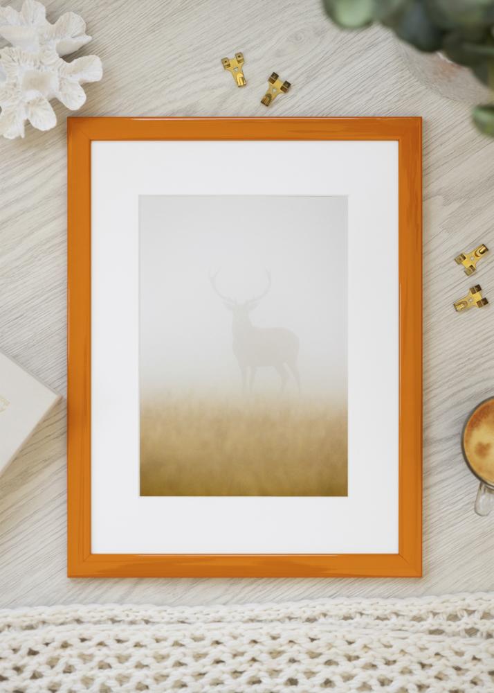 Kehys Dorset Akryylilasi Oranssi 21x29,7 cm (A4)