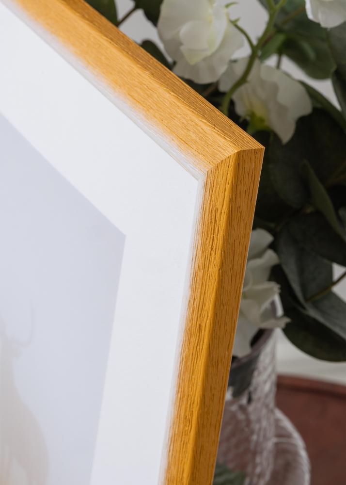 Kehys Cornwall Akryylilasi Kulta 50x50 cm