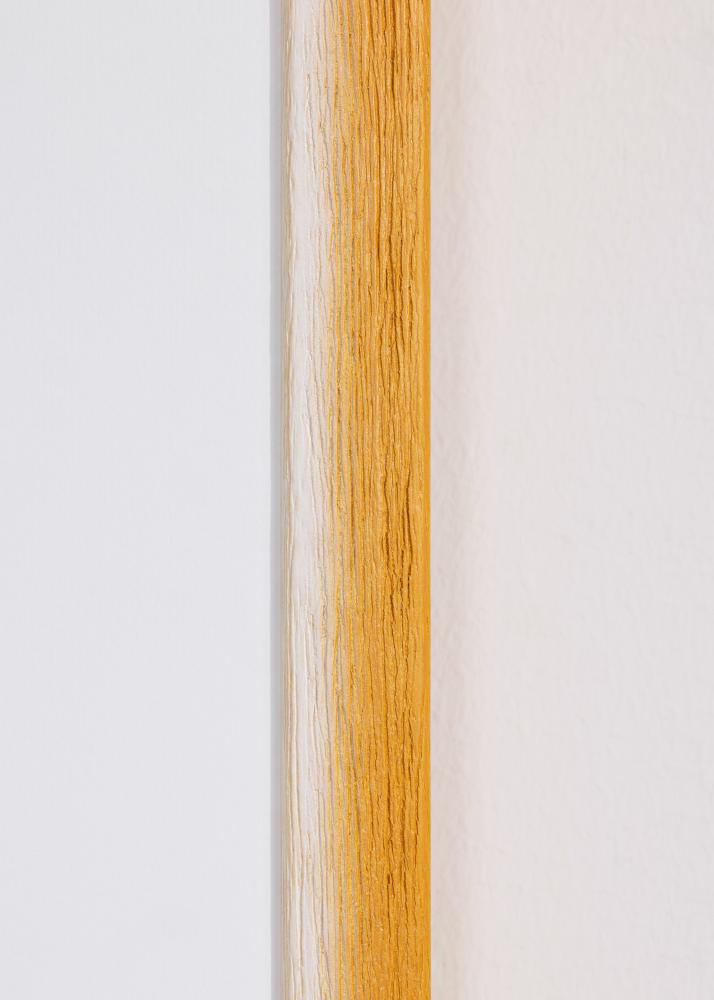 Kehys Cornwall Akryylilasi Kulta 50x50 cm