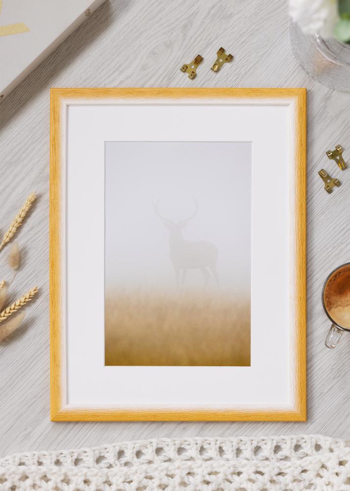 Kehys Cornwall Akryylilasi Kulta 50x50 cm