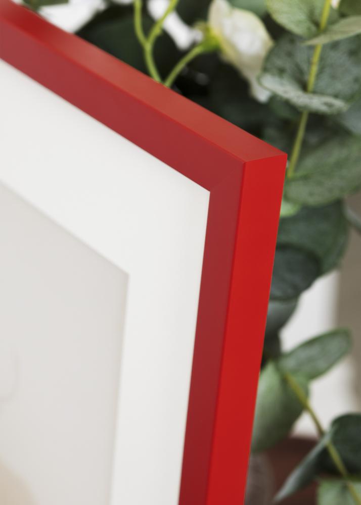 Kehys Kent Akryylilasi Punainen 29,7x42 cm (A3)