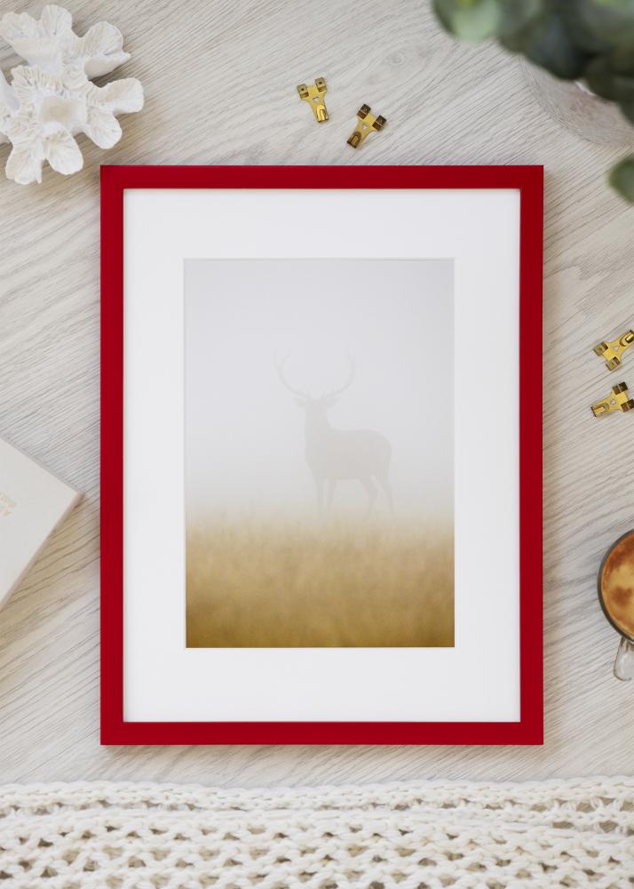 Kehys Kent Akryylilasi Punainen 29,7x42 cm (A3)