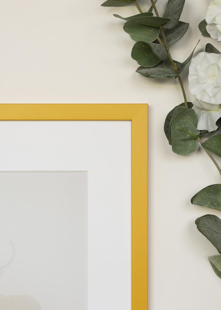 Kehys Kent Akryylilasi Kulta 21x29,7 cm (A4)