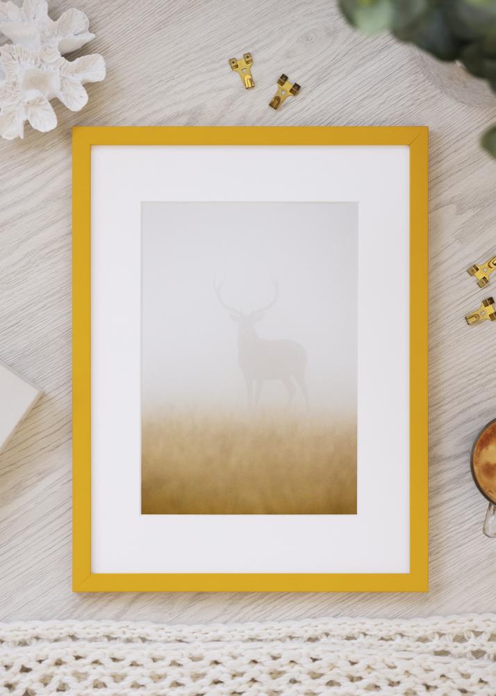 Kehys Kent Akryylilasi Kulta 21x29,7 cm (A4)