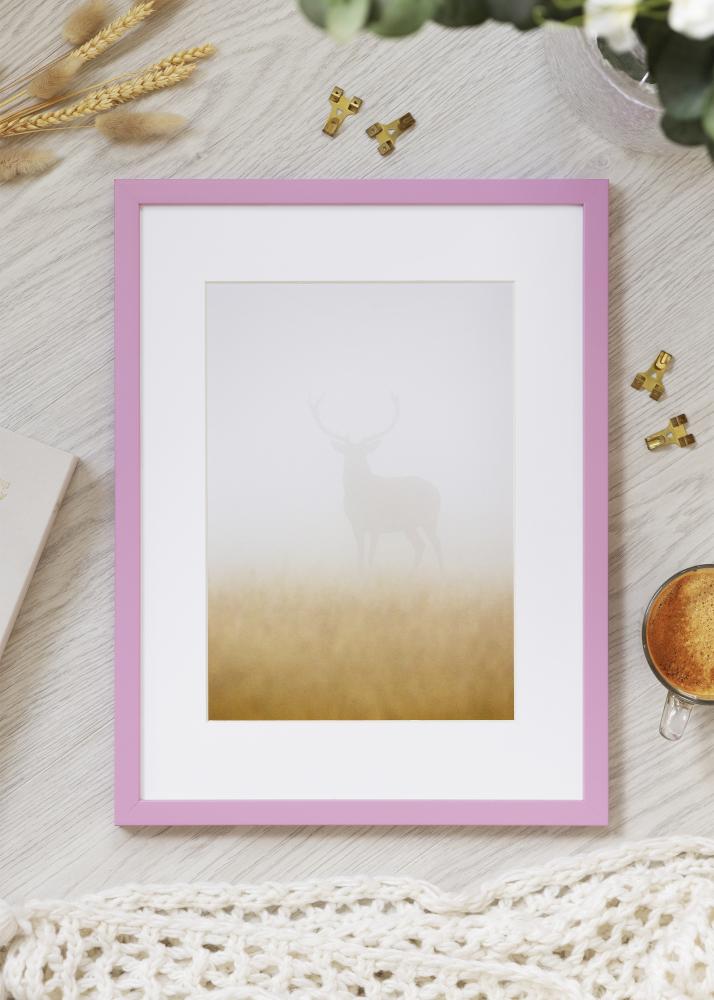 Kehys Kent Akryylilasi Vaaleanpunainen 42x59,4 cm (A2)