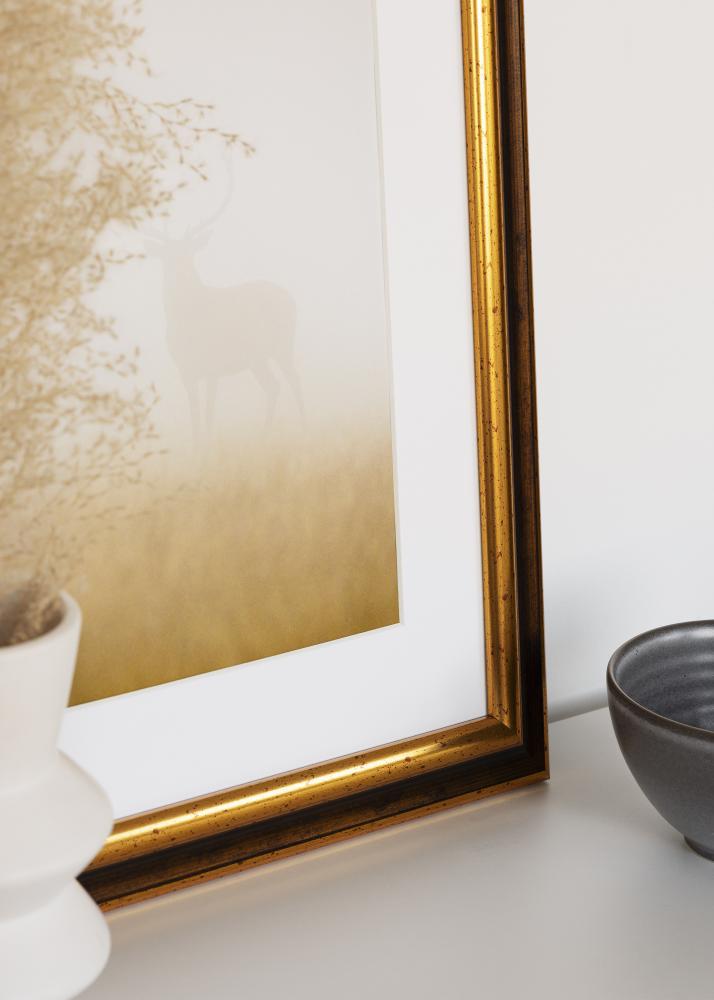 Kehys Aberystwyth Akryylilasi Kulta 21x29,7 cm (A4)