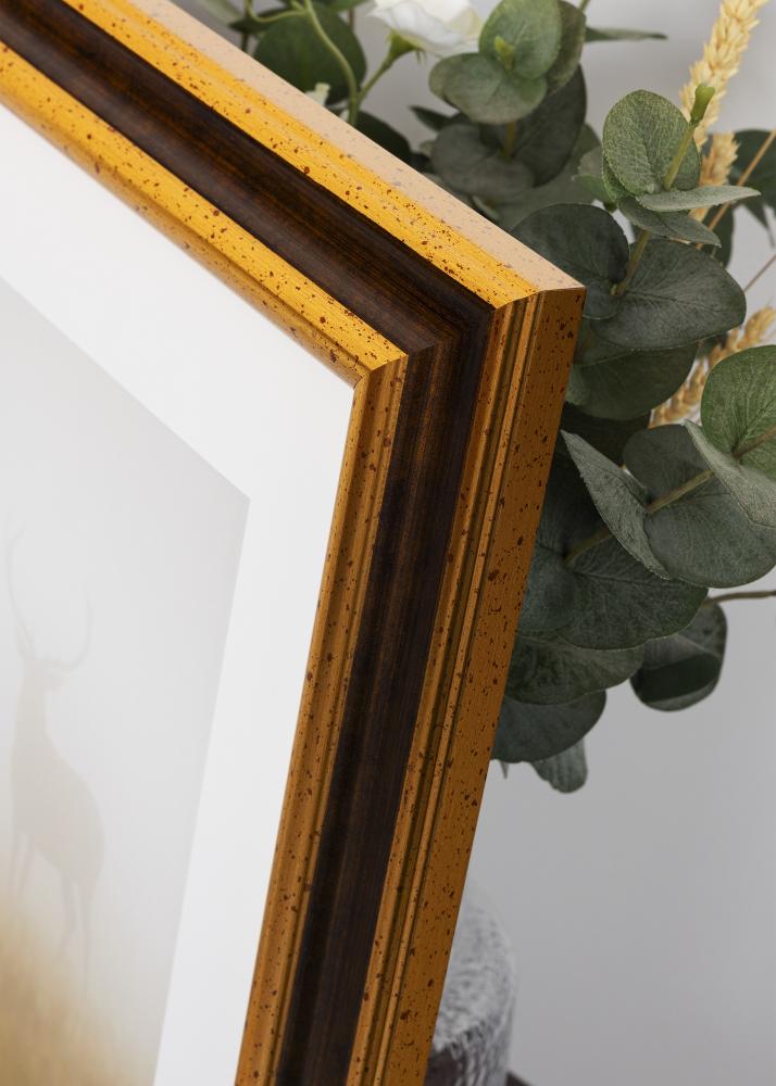 Kehys Aberystwyth Akryylilasi Kulta 21x29,7 cm (A4)