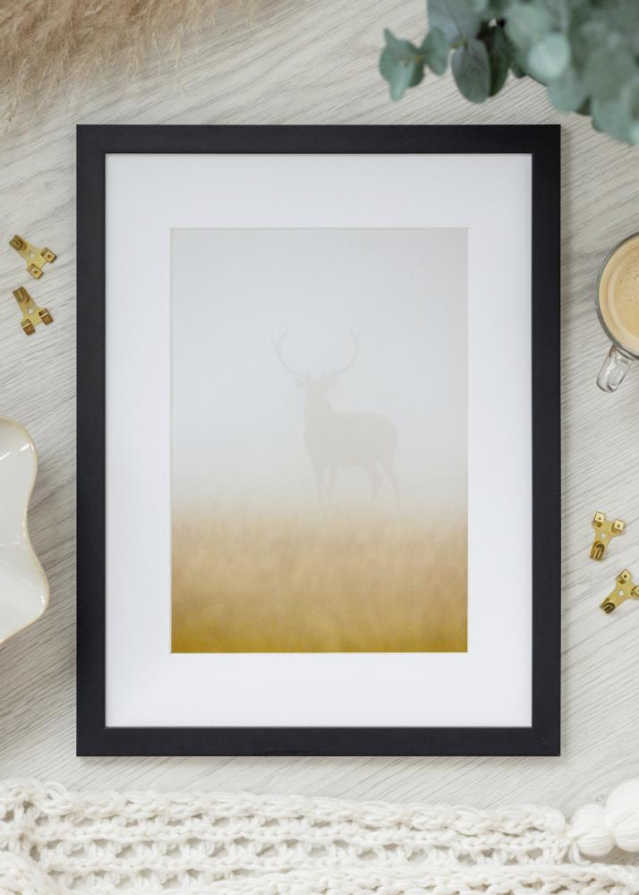 Kehys Jämtland Akryylilasi Musta 25x60 cm