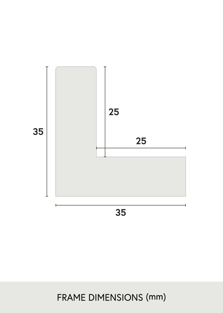 Kehys Sussex Akryylilasi Musta/Kulta 30x45 cm