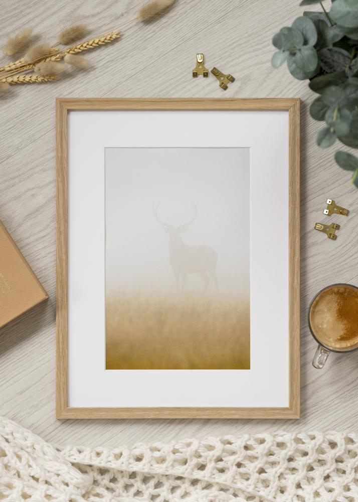 Kehys Vemdalen Akryylilasi Tammi 48x67 cm