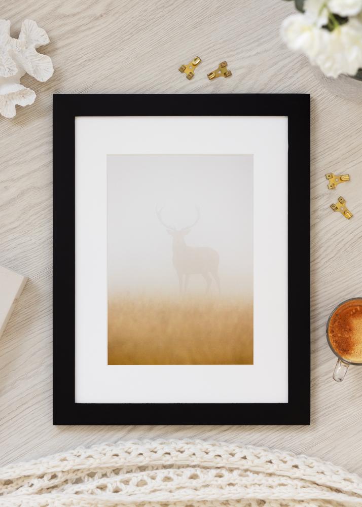 BGA Select Wide Akryylilasi Musta 70x100 cm