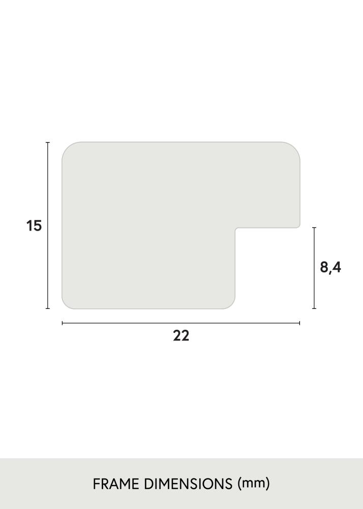 Kehys Uppsala Hopeanvärinen 50x50 cm