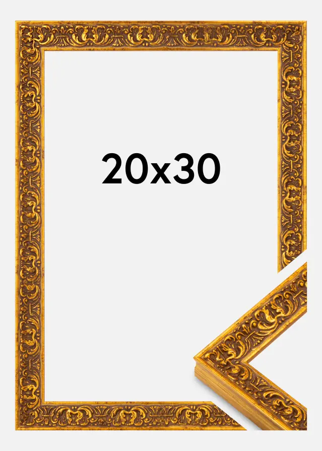 Kehys Amber Akryylilasi Kulta 20x30 cm