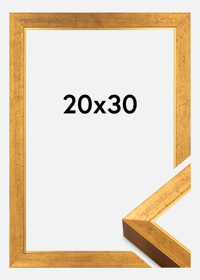 Kehys Brema Akryylilasia Kulta 20x30 cm