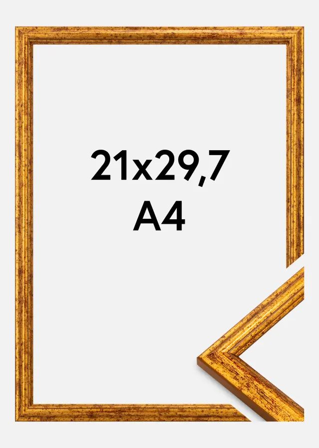 Kehys Claudia Akryylilasi Kulta 21x29,7 cm (A4)