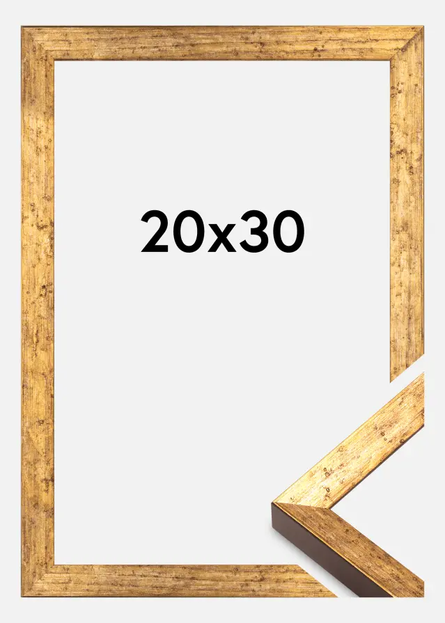 Kehys Dune Akryylilasi Kulta 20x30 cm