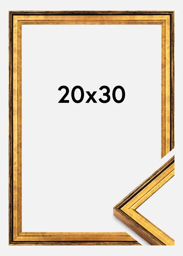Kehys Ringa Akryylilasi Kulta 20x30 cm