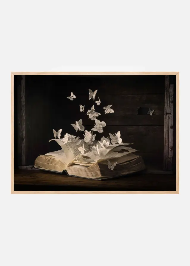 Lepidopterology Juliste